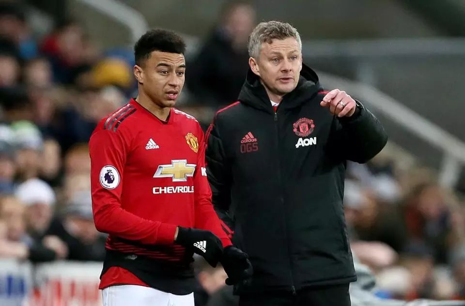 可以为他的 可以为他的