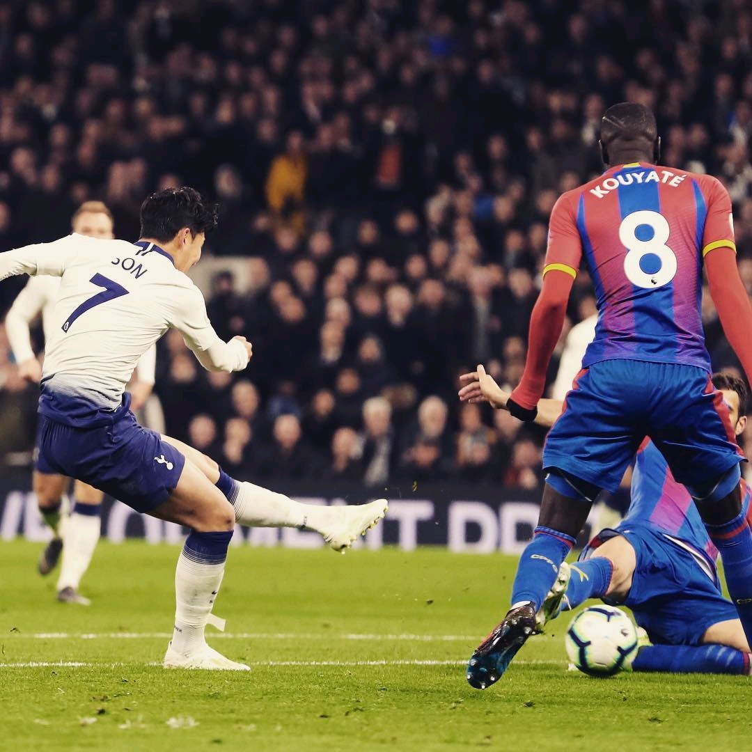 们带来了新 们带来了新